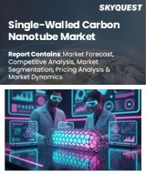 Single-Walled Carbon Nanotube Market