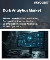 Global Dark Analytics Market