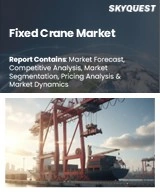Global Fixed Crane Market