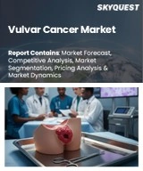 Vulvar Cancer Market