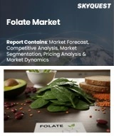 Global Folate Market