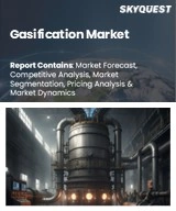 Gasification Market