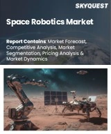 Global Space Robotics Market