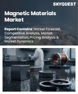 Global Magnetic Materials Market