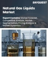 Global Natural Gas Liquids Market