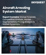 Aircraft Arresting System Market
