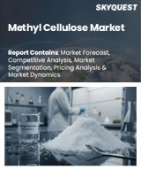Global Methyl Cellulose Market