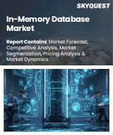 In-Memory Database Market