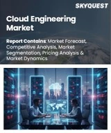 Cloud Engineering Market