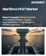 Maritime VSAT Market