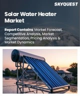 Global Solar Water Heater Market