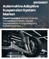 Global Automotive Adaptive Suspension System Market