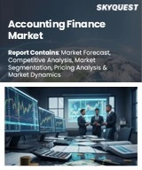 Accounting Finance Market