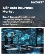 AI in Auto Insurance Market