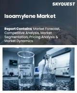 Global Isoamylene Market