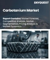 Carbotanium Market