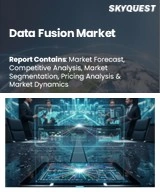 Data Fusion Market