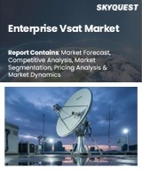 Enterprise Vsat Market
