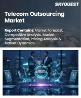Telecom Outsourcing Market