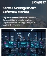 Server Management Software Market