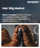 Global Hair Wig Market