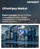Global Lithotripsy Market