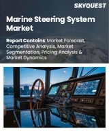 Global Marine Steering System Market