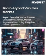 Global Micro-Hybrid Vehicles Market