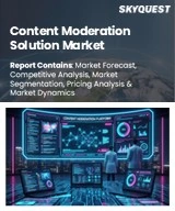 Content Moderation Solution Market
