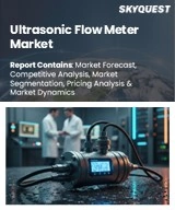 Global Ultrasonic Flow Meter Market