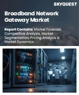 Global Broadband Network Gateway Market