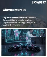Global Gloves Market