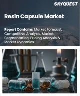 Resin Capsule Market