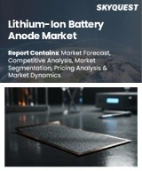 Global Lithium-Ion Battery Anode Market