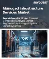 Managed Infrastructure Services Market