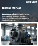 Blower Market