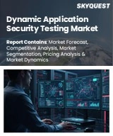 Dynamic Application Security Testing Market