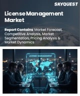 License Management Market