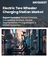 Global Electric Two-Wheeler Charging Station Market
