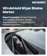 Global Windshield Wiper Blades Market