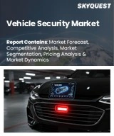 Global Vehicle Security Market