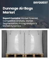Global Dunnage Air Bags Market