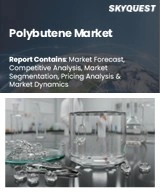 Global Polybutene Market