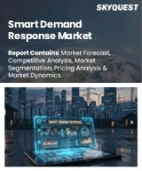 Smart Demand Response Market