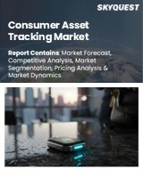 Global Consumer Asset Tracking Market