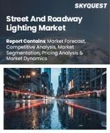 Global Street and Roadway Lighting Market