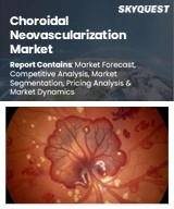 Global Choroidal Neovascularization Market