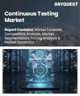 Global Continuous Testing Market
