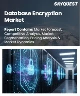 Database Encryption Market