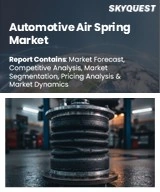 Global Automotive Air Spring Market